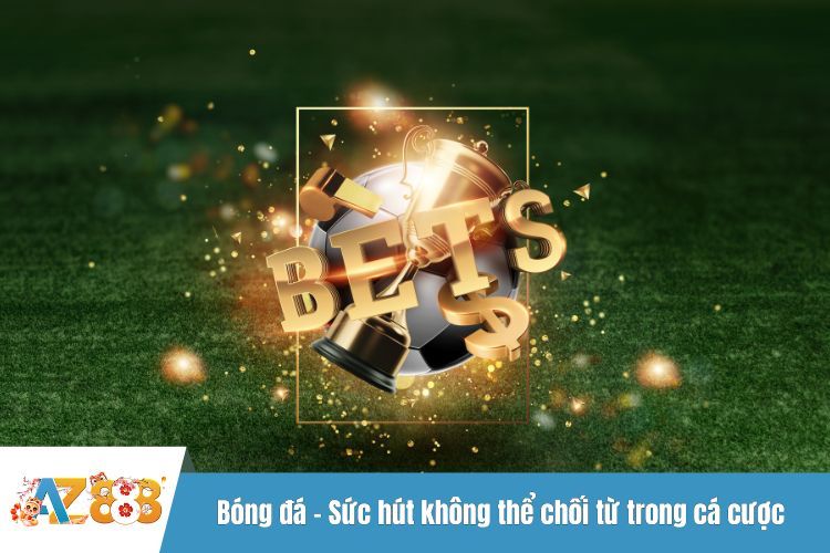 Bóng đá – Sức hút không thể chối từ trong cá cược
